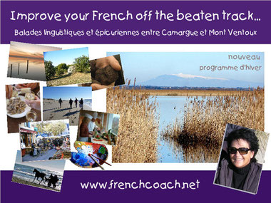 Winter trip Provence activity holidays for Francophiles french learner Camargue