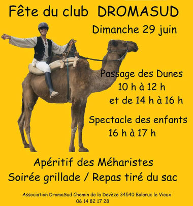 dromasud