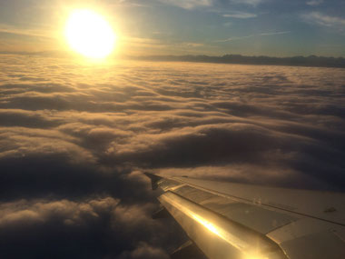 Blick aus dem Flugzeug beim Landeanflug auf Zürich