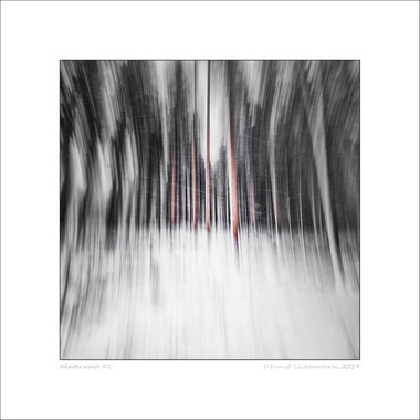 Winterwald #1