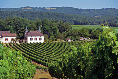 Domaine de Lavaur - AOC Cahors - 100 % malbec - bag in box - vigneron indépendant de france - vigneron récoltant