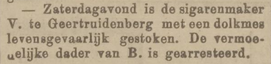 RK dagblad het huisgezin 05-12-1911