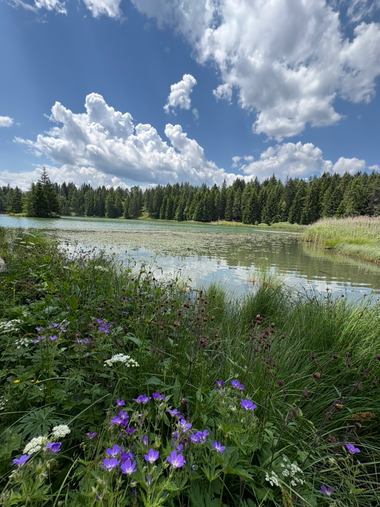 weiher-felix.jpg