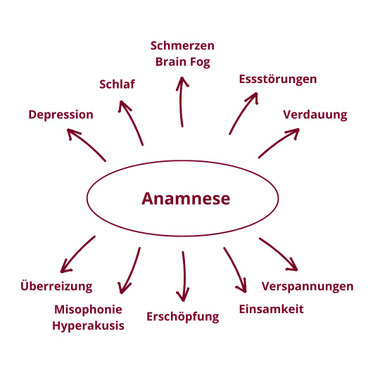 Infografik Anamnese