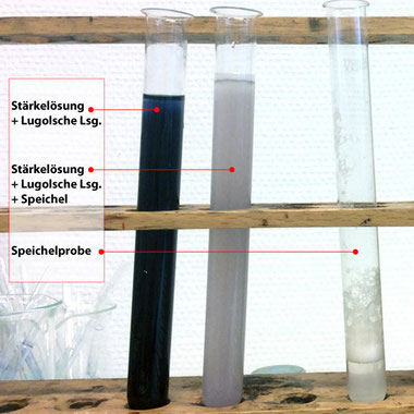 Schülerversuch 7c