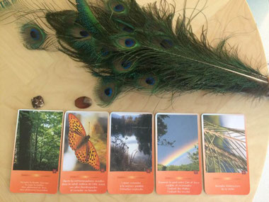 Jeu de Beauté © Création Caroline SIMON