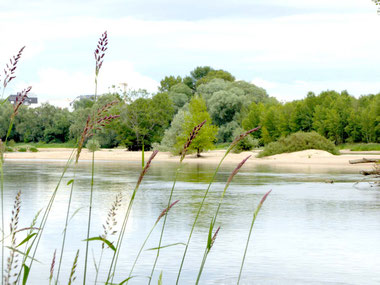 ateliers de pierre lochet en touraine - sorties nature et bien-être - via energetica annuaire des therapeutes en touraine