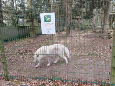 Foto: Susanne Brockmann
