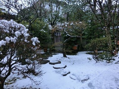 我が家の雪景色