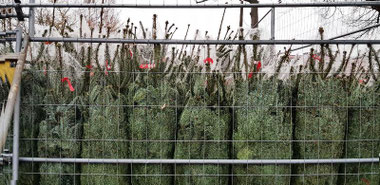 Bild: Peter Weidemann | pfarrbriefservice.de