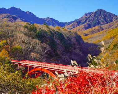 東沢大橋