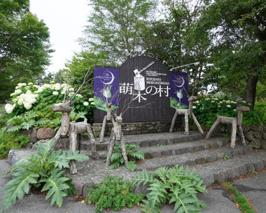 萌木の村
