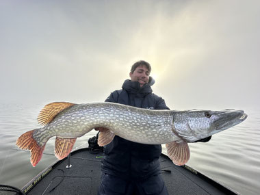 Hechtangeln mit dem Reel Shad 13cm - Reel Busy Fishing