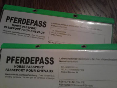 Keineahnung und Miregal bekommen neue Namen