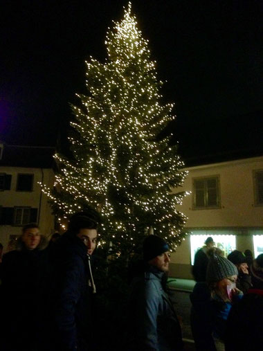 Wunderschöne Lichtertanne beim Eingang zum Markt