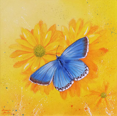 Schmetterling - Öl-Gemälde - Auftragsmalerei - Kunst - Malerei
