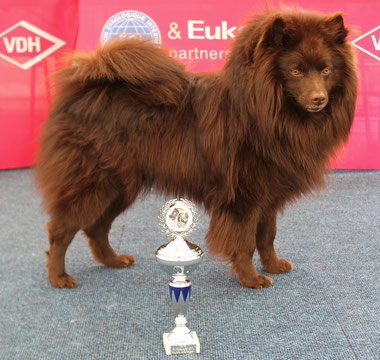 Großspitz Rüde Grizzly Besitzerin Cinnamon Hooper