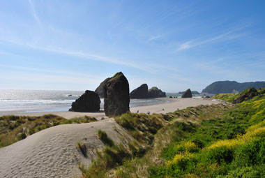 Strand in Kalifornien auf der Busreise usa
