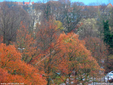 Herbstliche Aussicht auf den Stadtpark mit Indian Summer Farben