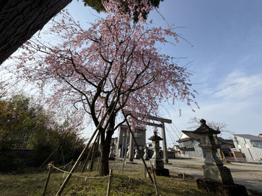 十社大神 社務日誌(ブログ)富山県射水市鎮座 越中小杉のお伊勢 十社大神 社務日誌(ブログ)富山県射水市鎮座 越中小杉のお伊勢
