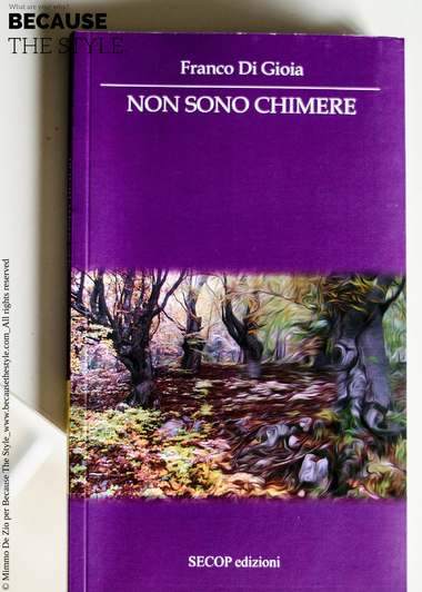 Franco Di Gioia, Non sono chimere