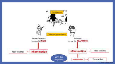 systemes immunitaires de la peau