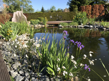 Ihr Garten Ist Unsere Leidenschaft Schroeder Wagners Webseite