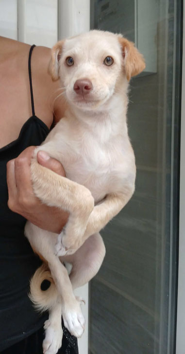 Nelly (w) - Zenia