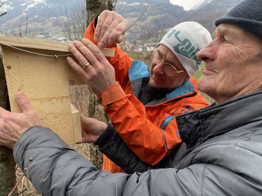 Nistkasten Montage für Wendehals und Gartenrotschwanz bei Sargans