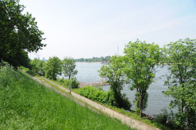Rheinpromenade Blickrichtung Süden