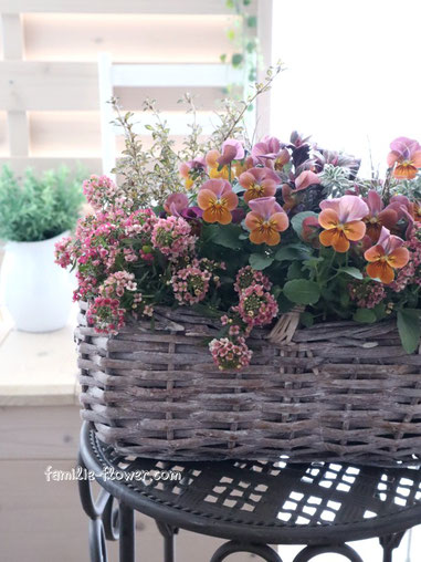 大人ピンクのお洒落な寄せ植え2点UP! - 造花ギフトアレンジと 大人ピンクのお洒落な寄せ植え2点UP! - 造花ギフトアレンジと