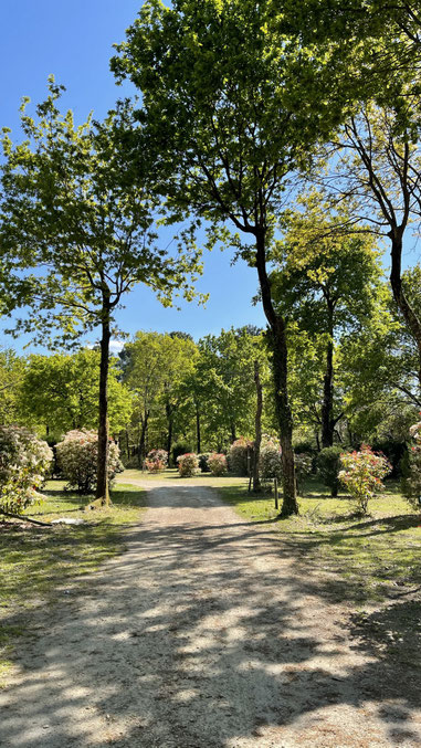 camping éco-responsable