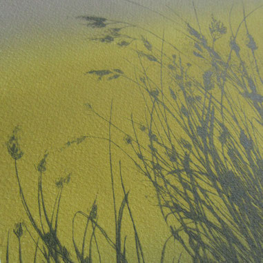 mauvaises herbes