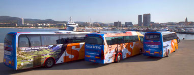 SARFA BUS 