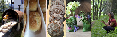 BROT UND LEBEN von Helga Graef Brotbackkurse