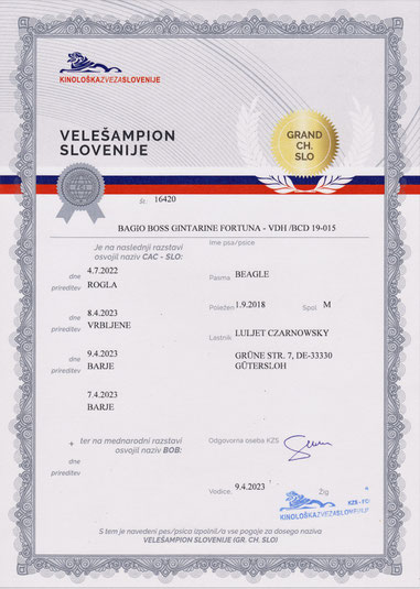 Bagio Boss Gintarine Fortuna * Lord James *, Czarnowsky , Beagle, Beagle, Beagle, Beagle, Beagle, Champions, Winner, the Best, Love, Star