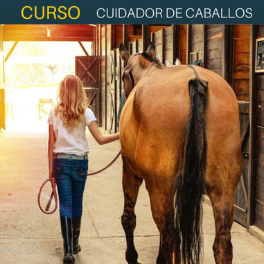 curso de cuidador de caballos