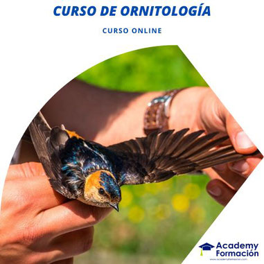 curso de ornitología