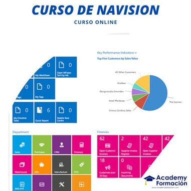 curso de navision