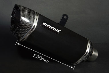 BODIS P-Tec IIN Slip-On SUZUKI SV 650