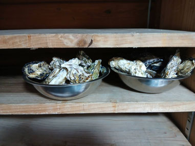 勿論、牡蠣も！！