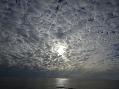 今日はうろこ雲～～