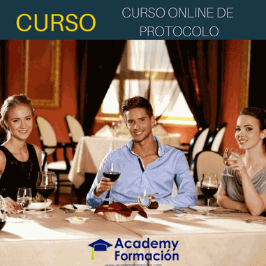 curso de protocolo online