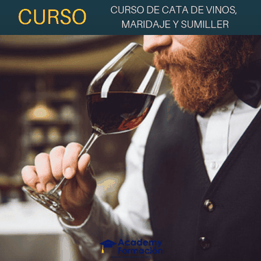 curso de cata de vinos