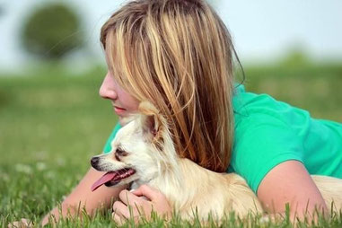 Twaila und Joline auf Chi-Love.de (Deine Geschichte) Chihuahua