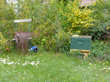 Die Bienen erzeugej in einem Garten in Magdeburgerforth den Magdeburgerforther Honig. Die Imkerei hat hier eine lange Tradition, wie in unsere Familie auch. Inzwischen gibt es keinen Imker mehr. Deshalb bin ich mit den Gartenbesitzern an den Bienenvölkern