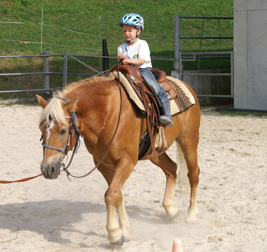 Lukas im Trab an der Longe September 2013