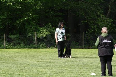 Frau mit schwarzer Hose und weißem T-Shirt mit floralem Muster steht auf einer Wiese neben einem schwarzen Hund, im Vordergrund steht eine weitere Person mit schwarzer Weste und grüner Kapuzenjacke.