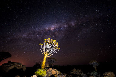 Die Milchstrasse über dem Köcherbaumwald in Keetmanshoop (Namibia) © 2016 belimago Stephan Stamm