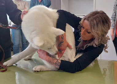 Corina Szperling in der Therapie während der Fortbildung in Hamburg
